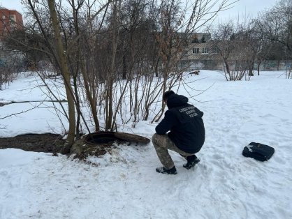 В Калужской области в отношении местного жителя , уличенного в убийстве двух лиц, применены принудительные меры медицинского характера